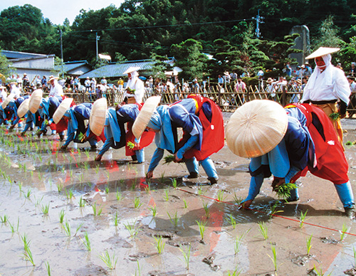 お田植えまつりの写真