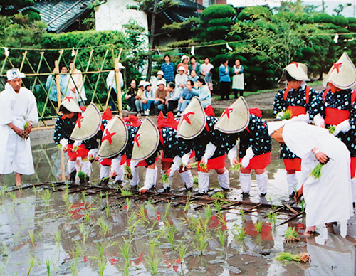 お田植え祭の写真