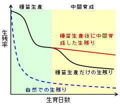 生存率比較グラフ