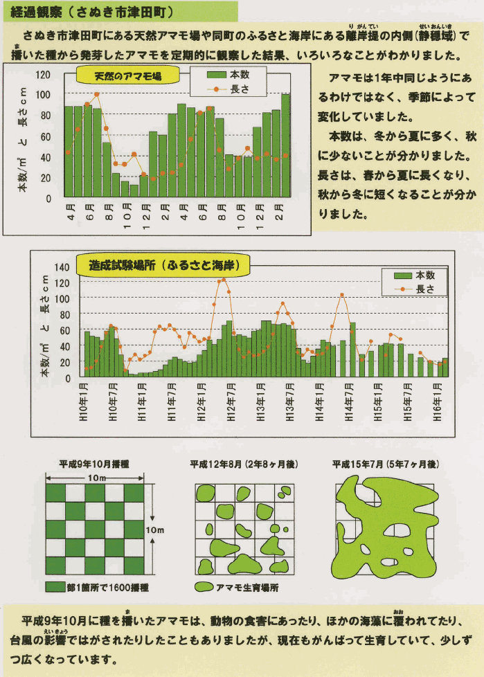 経過観察（さぬき市津田町）