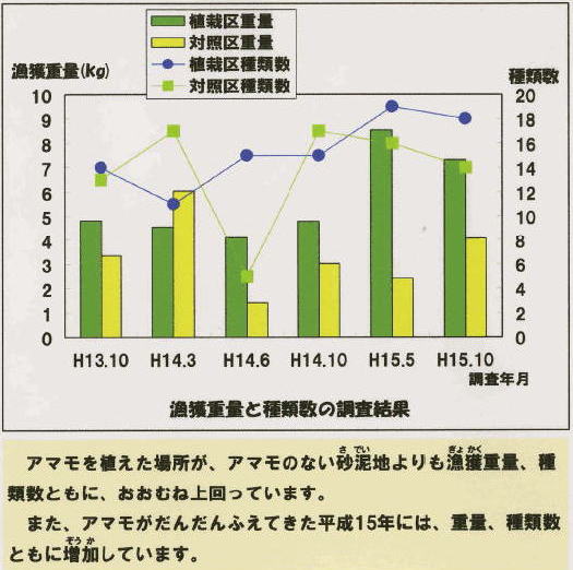 漁獲重量と種類数の調査結果