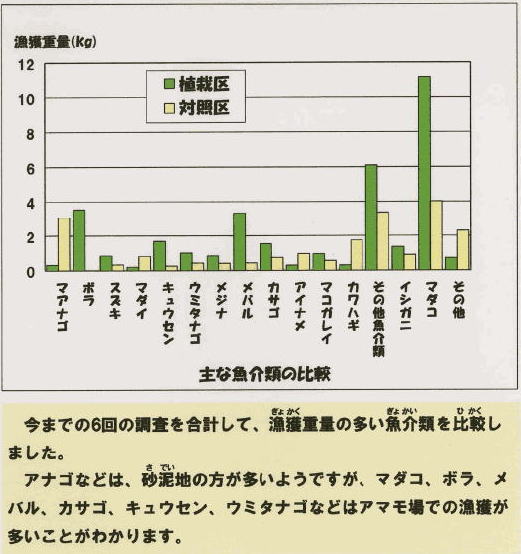 主な魚介類の比較