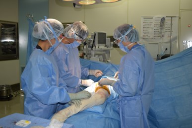 大腿骨頸部骨折に対する人工骨頭置換術2