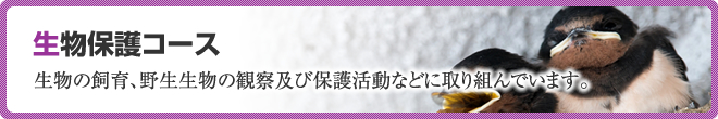 生物保護コース：生物の飼育、野生生物の観察及び保護活動などに取り組んでいます。