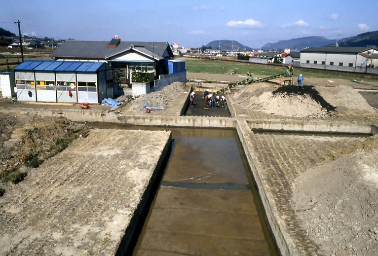 8次調査地北半部全景