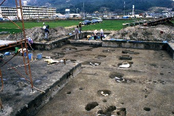 7次調査発掘風景