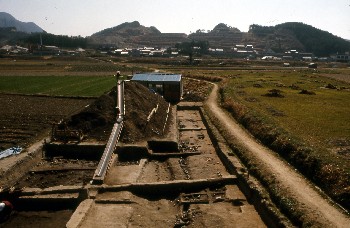 1次調査地