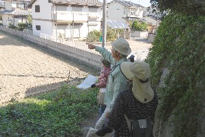 南海道推定地