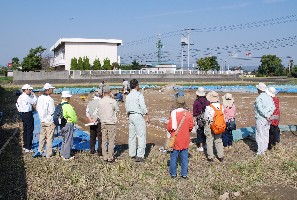 遺跡見学