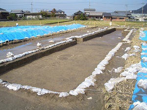 西側の調査区全景