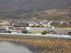 発掘現場風景2