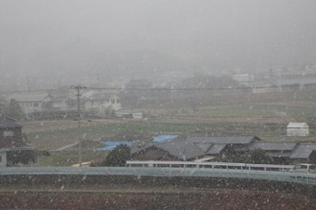 大雪の様子