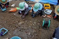 瓦の検出状況