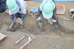 土器が集中しています