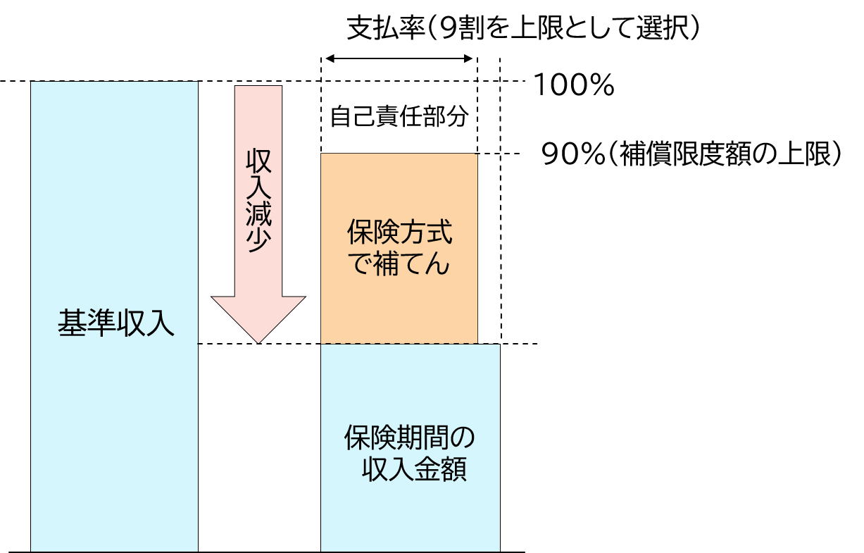 保険方式補償充実タイプのイメージ図