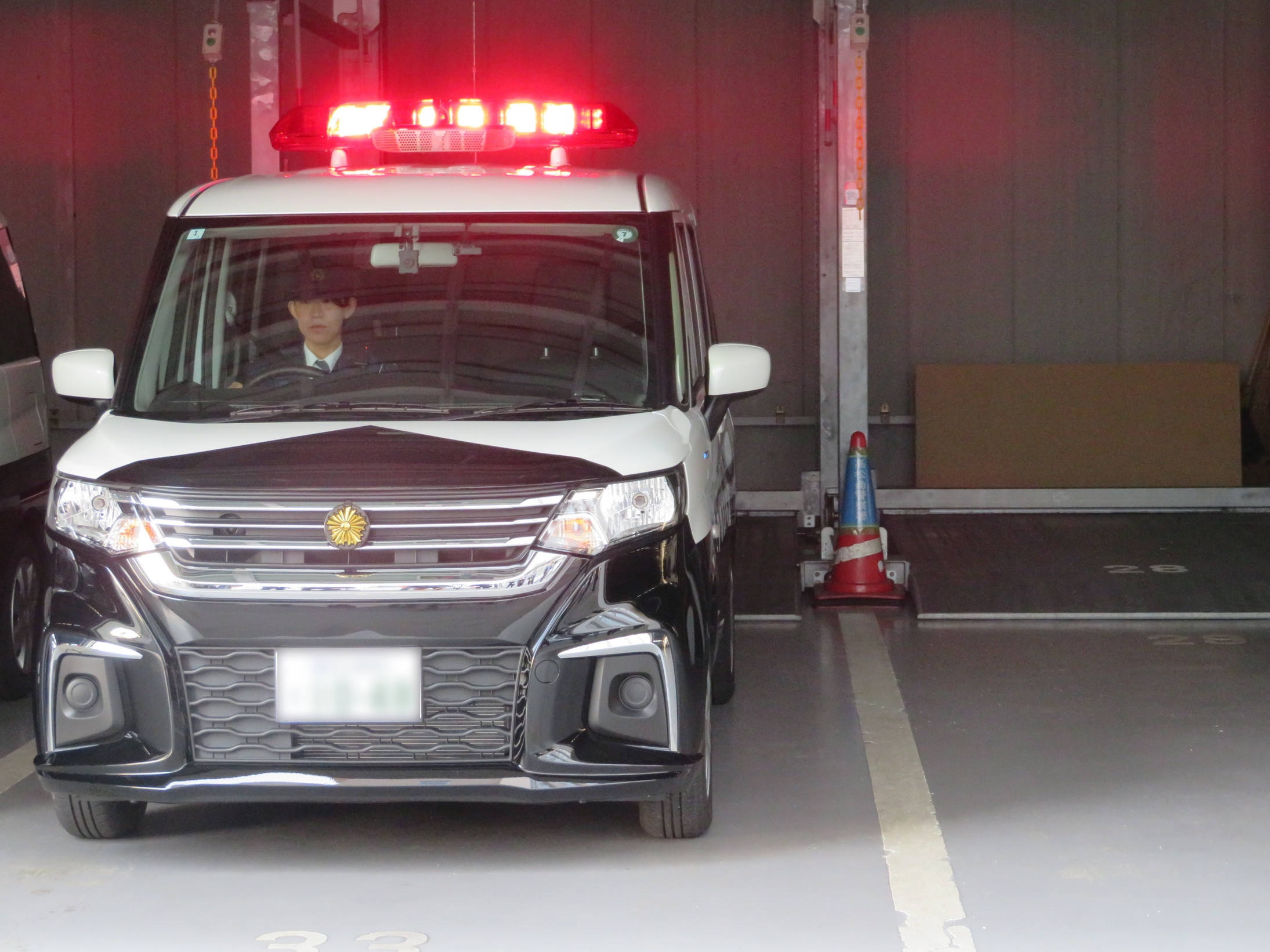 新車両の写真