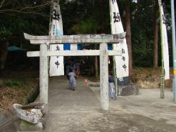 鎌倉神社に射子が集まる