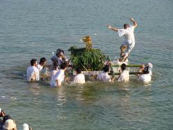 矢が放たれると、神輿は新池に押し入り、祭りが終わる。