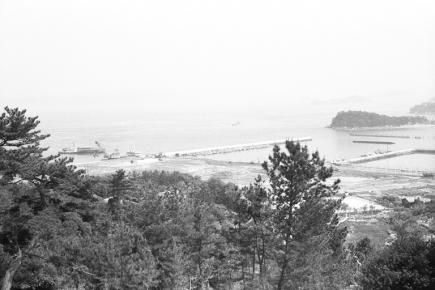 大浦湾の埋め立て風景