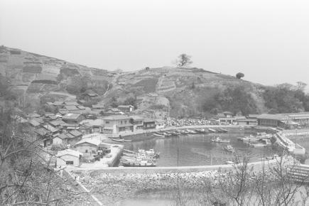 本村地区の港と山の畑の風景
