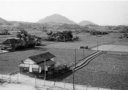 山田中学校屋上からの風景