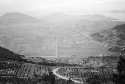 坂出東部(綾川下流地域)の風景（1960）