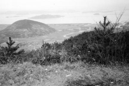 坂出東部の枝条架式塩田遠景(1960年)