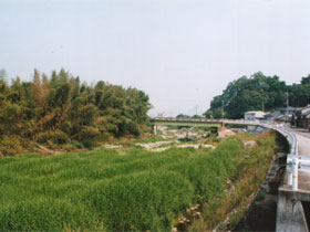 香東川　岩崎付近（河口から約15km（キロメートル））の現状写真2