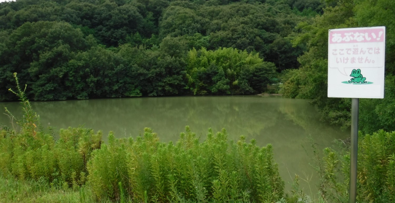 看板のあるため池の画像