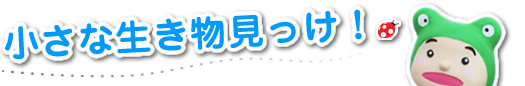 小さな生きもの見っけ！