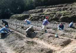 五名里山を守る会の活動2