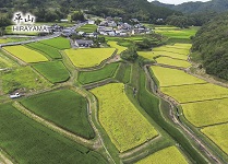平山カード