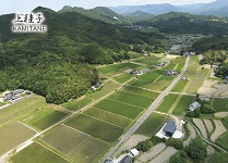 上種子カード