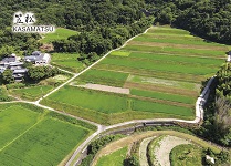 笠松カード