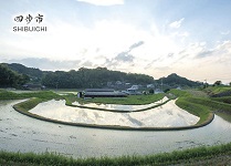 四歩市カード