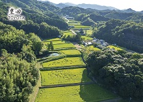 豊田カード
