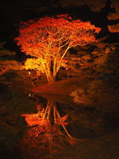 「水鏡」神内(高松桜井)