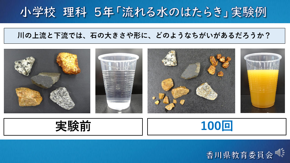 小理科