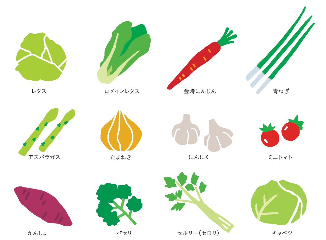 野菜