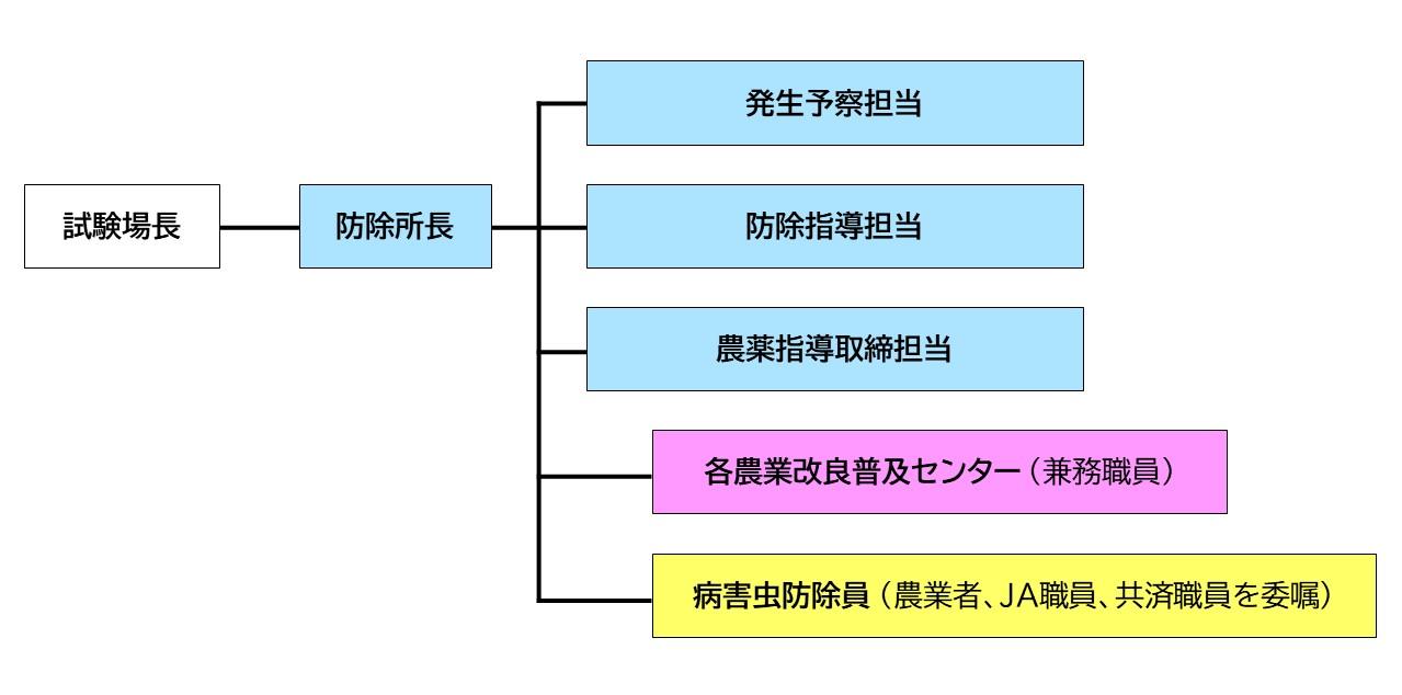 組織図