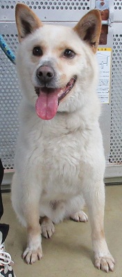 2630043-2.JPG