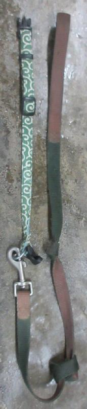 2630111-22.JPG