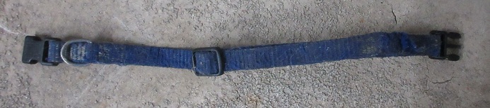 26301582