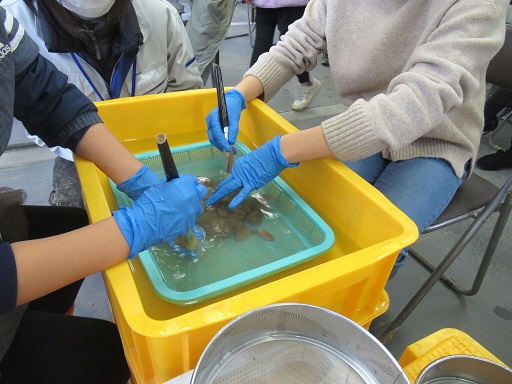 岡遠田南発掘体験２