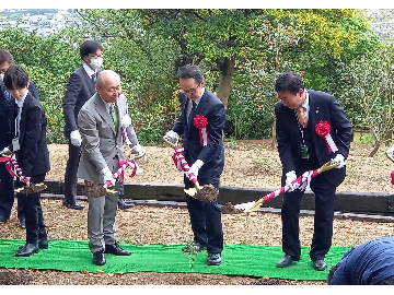 知事がオリーブを植樹する様子