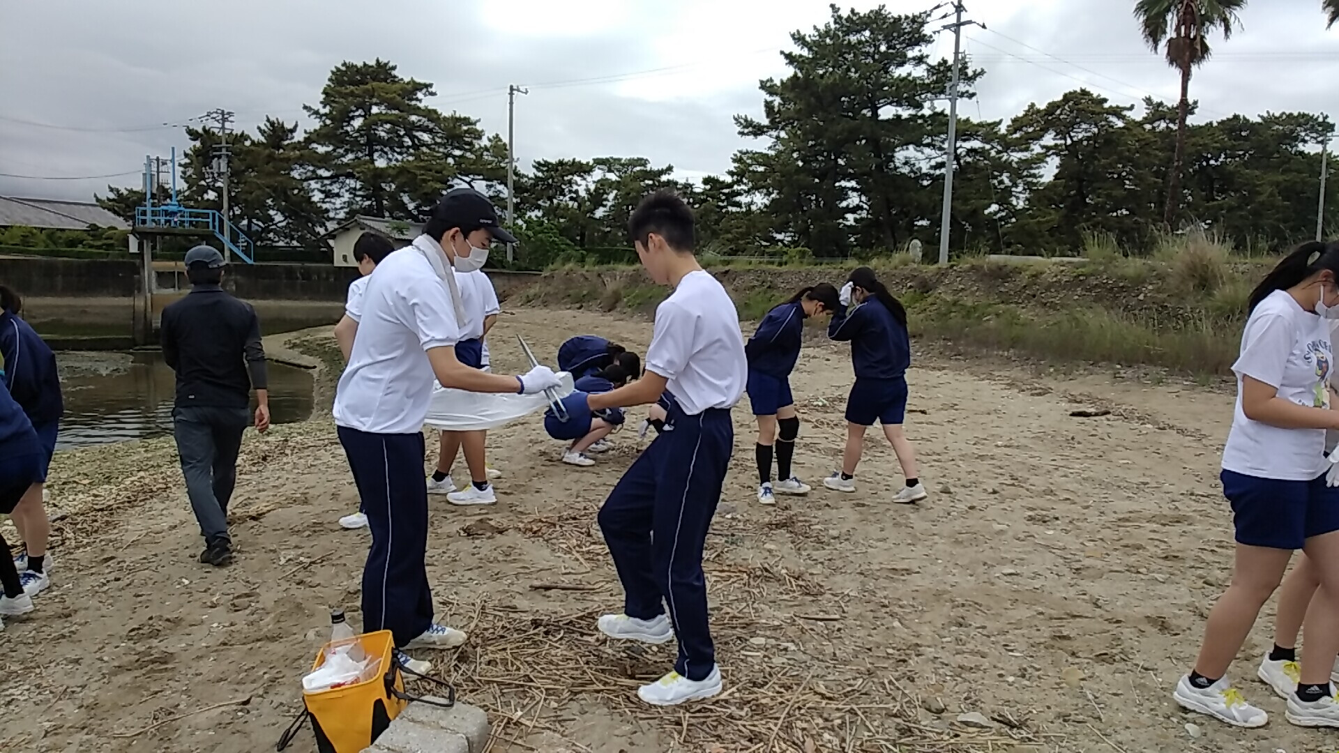 海岸でのクリーンアップ