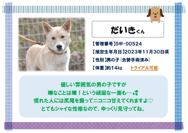 だいき