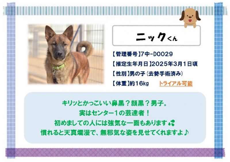 ニック