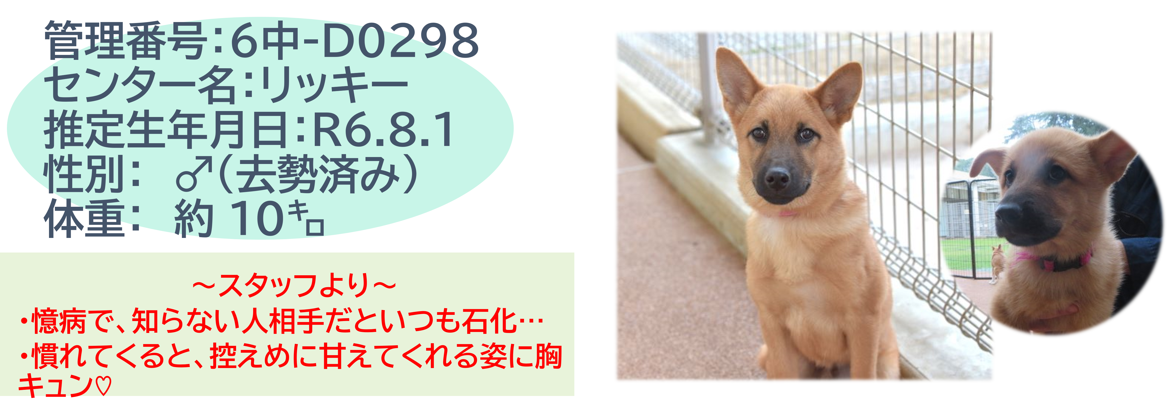 リッキー