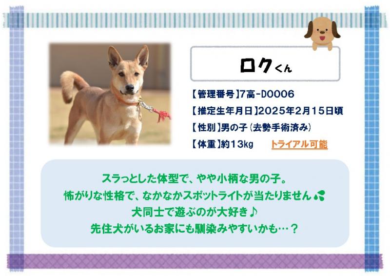 ロク